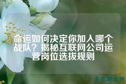 命运如何决定你加入哪个战队？揭秘互联网公司运营岗位选拔规则