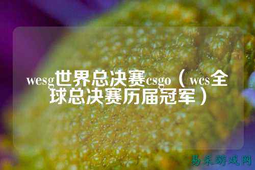 wesg世界总决赛csgo（wcs全球总决赛历届冠军）