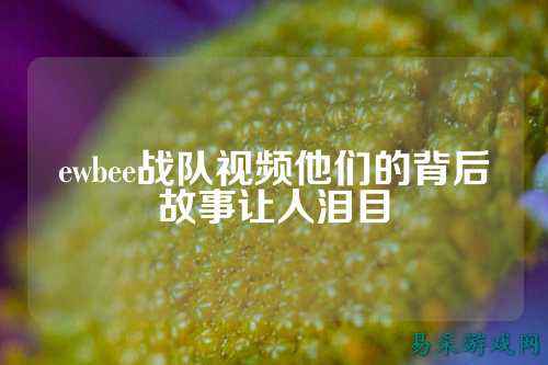 ewbee战队视频他们的背后故事让人泪目