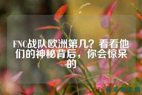 FNC战队欧洲第几？看看他们的神秘背后，你会惊呆的