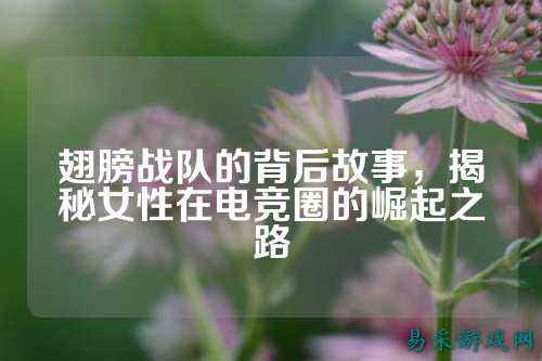 翅膀战队的背后故事，揭秘女性在电竞圈的崛起之路
