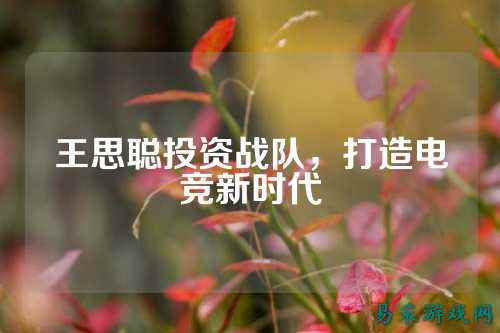 王思聪投资战队，打造电竞新时代