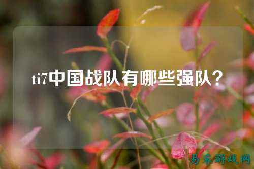 ti7中国战队有哪些强队？