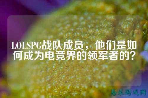 LOLSPG战队成员，他们是如何成为电竞界的领军者的？