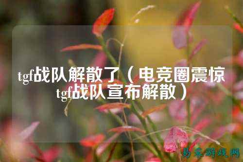 tgf战队解散了（电竞圈震惊tgf战队宣布解散）