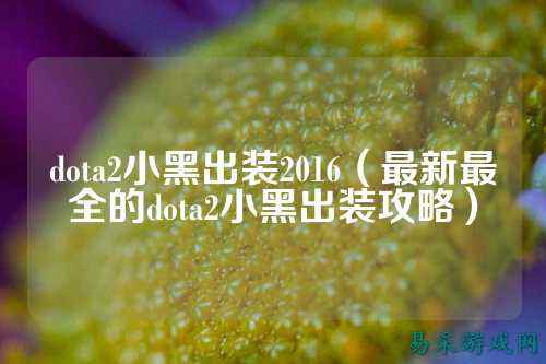 dota2小黑出装2016(最新最全的dota2小黑出装攻略)