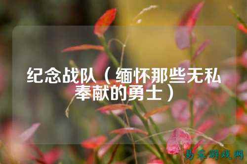 纪念战队（缅怀那些无私奉献的勇士）