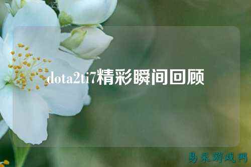 dota2ti7精彩瞬间回顾