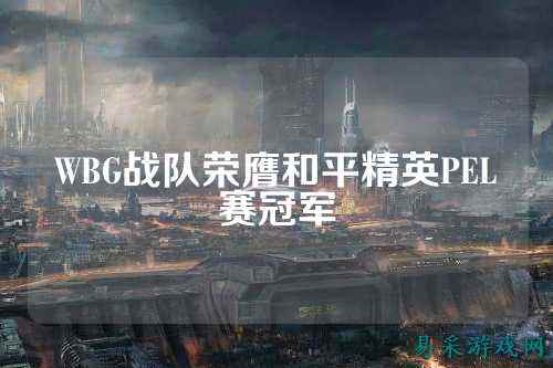 WBG战队荣膺和平精英PEL赛冠军