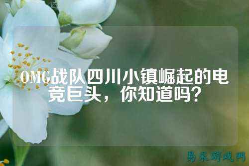 OMG战队四川小镇崛起的电竞巨头，你知道吗？