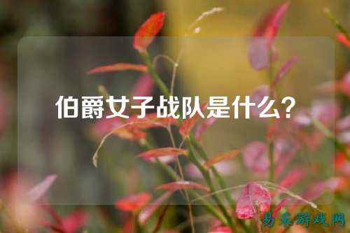 伯爵女子战队是什么？