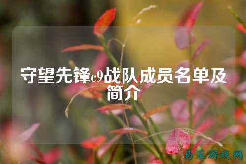 守望先锋c9战队成员名单及简介