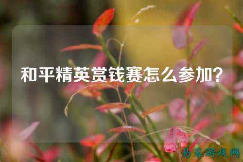和平精英赏钱赛怎么参加？