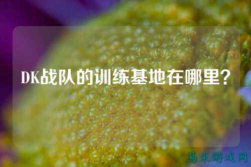 DK战队的训练基地在哪里？