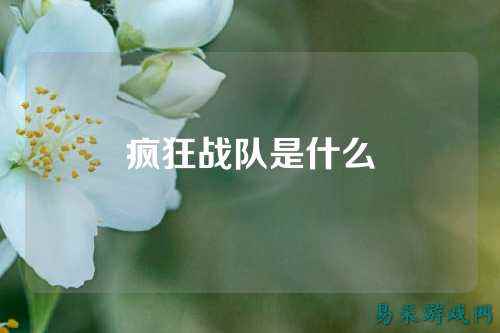 疯狂战队是什么