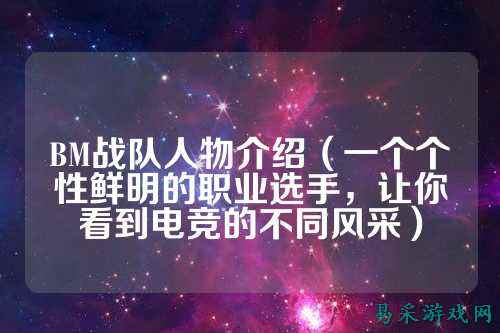 BM战队人物介绍（一个个性鲜明的职业选手，让你看到电竞的不同风采）