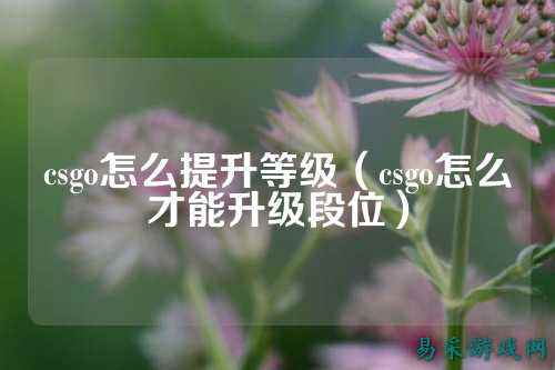 csgo怎么提升等级(csgo怎么才能升级段位)