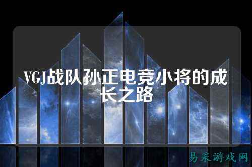 VGJ战队孙正电竞小将的成长之路