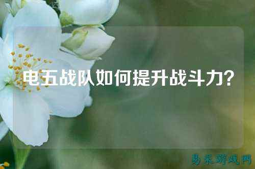 电五战队如何提升战斗力？