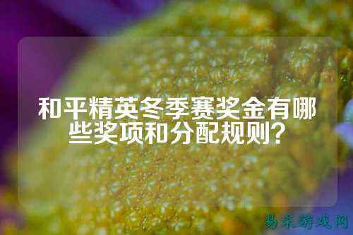 和平精英冬季赛奖金有哪些奖项和分配规则？