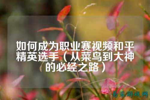 如何成为职业赛视频和平精英选手（从菜鸟到大神的必经之路）