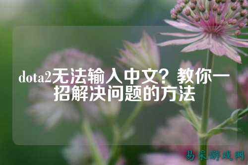 dota2无法输入中文？教你一招解决问题的方法