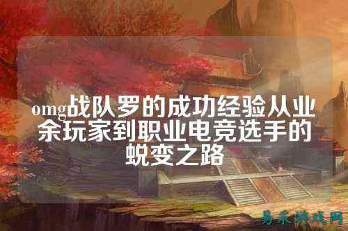 omg战队罗的成功经验从业余玩家到职业电竞选手的蜕变之路