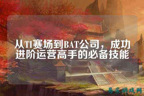 从TI赛场到BAT公司，成功进阶运营高手的必备技能