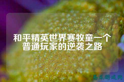 和平精英世界赛牧童一个普通玩家的逆袭之路