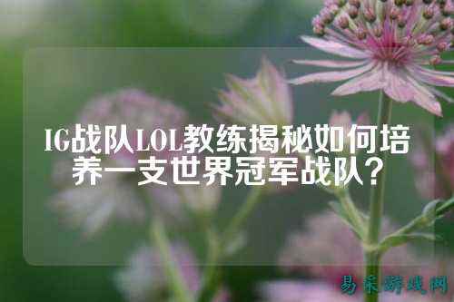 IG战队LOL教练揭秘如何培养一支世界冠军战队？