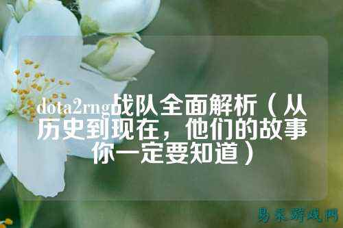 dota2rng战队全面解析（从历史到现在，他们的故事你一定要知道）