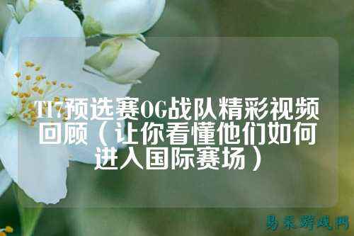 TI7预选赛OG战队精彩视频回顾（让你看懂他们如何进入国际赛场）