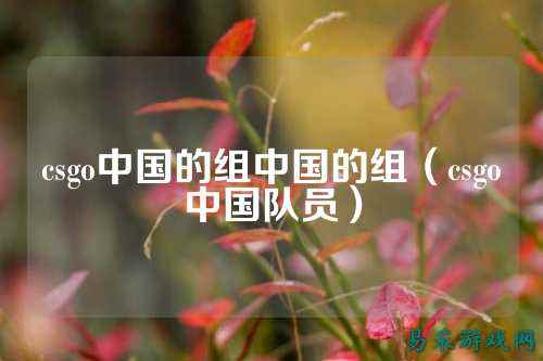 csgo中国的组中国的组（csgo中国队员）