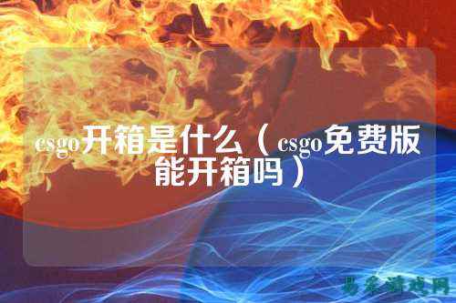 csgo开箱是什么（csgo免费版能开箱吗）