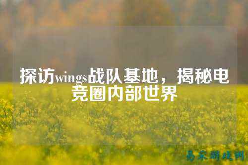探访wings战队基地，揭秘电竞圈内部世界