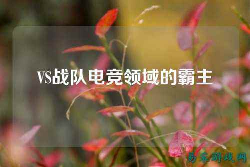 VS战队电竞领域的霸主