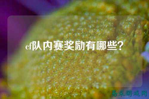 cf队内赛奖励有哪些？