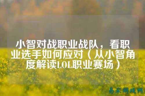 小智对战职业战队,看职业选手如何应对(从小智角度解读LOL职业赛场)
