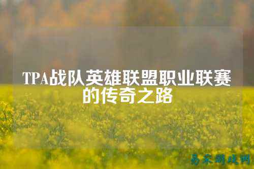 TPA战队英雄联盟职业联赛的传奇之路