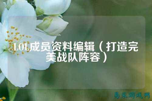 LOL成员资料编辑(打造完美战队阵容)