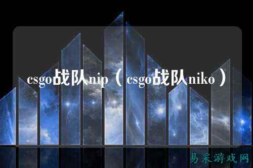 csgo战队nip（csgo战队niko）
