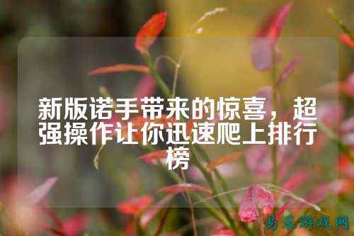 新版诺手带来的惊喜,超强操作让你迅速爬上排行榜