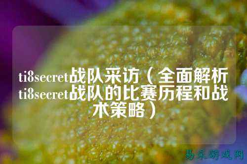 ti8secret战队采访（全面解析ti8secret战队的比赛历程和战术策略）
