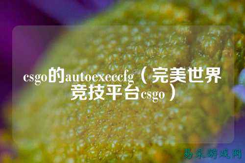 csgo的autoexeccfg（完美世界竞技平台csgo）