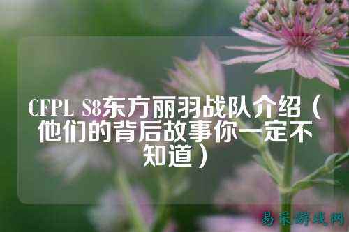 CFPL S8东方丽羽战队介绍（他们的背后故事你一定不知道）