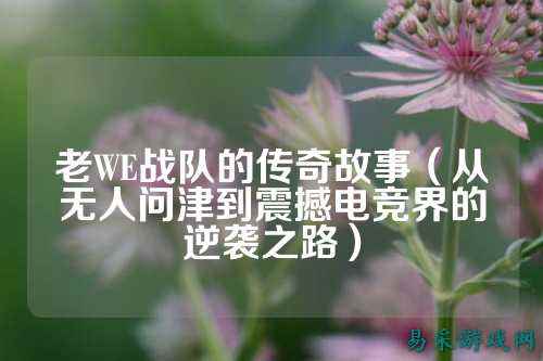 老WE战队的传奇故事（从无人问津到震撼电竞界的逆袭之路）