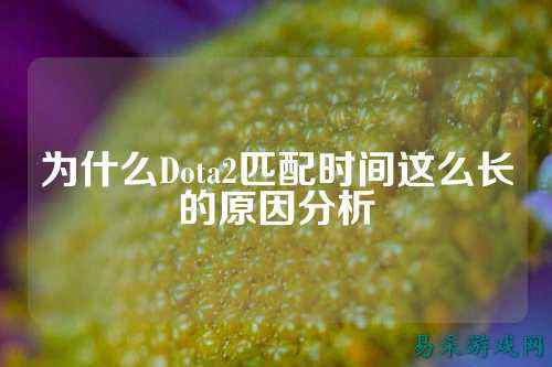 为什么Dota2匹配时间这么长的原因分析