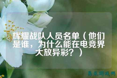 辉耀战队人员名单（他们是谁，为什么能在电竞界大放异彩？）