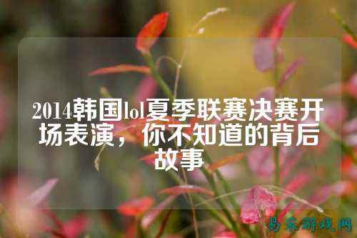2014韩国lol夏季联赛决赛开场表演,你不知道的背后故事