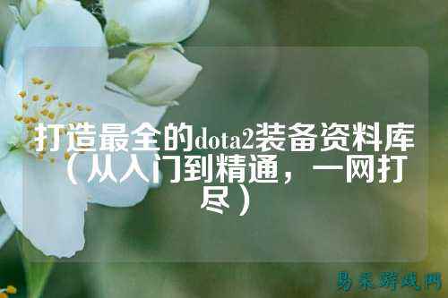 打造最全的dota2装备资料库(从入门到精通,一网打尽)